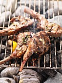 Barbecued lamb chops with rosemary on the barbecue