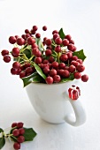 Holly berries in mug