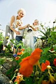 Germany, Bavaria, Grandmother with children watering flowers
