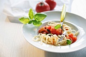 Spaghetti alla casertana (noodles with tomato sauce, Italy)