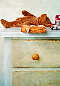 Peanut butter sandwich on a child s dresser with toys