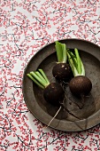 Three round, black winter radishes on an old plate