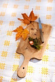 Milk cap mushroom stem with moss, bits of soil, knife and autumn oak leaves
