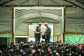Farmers feeding turkeys in the barn