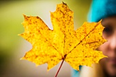 Frau hält ein gelbes Herbstblatt