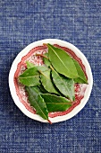Several fresh bay leaves on a plate