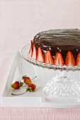 Chocolate torte with strawberries on a torte stand