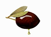 A black olive with oil droplet