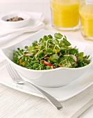 Sprout salad with radishes