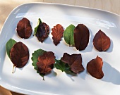 Assorted chocolate leaves