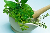 Freshly picked culinary herbs in a pestle and mortar