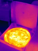 An infra-red image of pizza in an open box