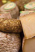 Assorted types of cheese (close-up)