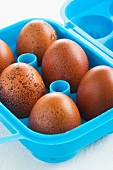 Brown eggs in a plastic container