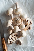Fresh button mushrooms on paper