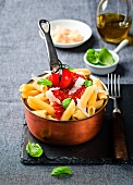 Penne with tomato sauce, basil and parmesan