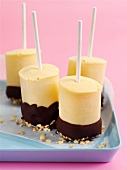 Apricot ice lollies with chocolate coating