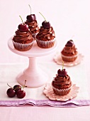 Chocolate and cherry cupcakes