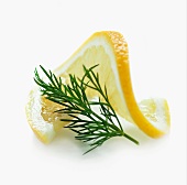 A slice of lemon and a sprig of dill with no background