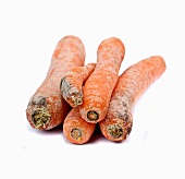 Mouldy carrots