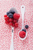 Berries on a spoon