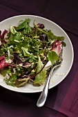One plate of salad made with fresh lettuce, herbs, radicchio leaves, beetroot leaves and grated hard boiled eggs. With fork and a purple background