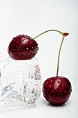 Cherries and an ice cube