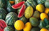 Assorted types of melon (filling the image)