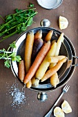 Fresh carrots in a sieve (view from above)