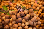 Longan Fruit