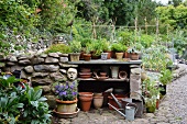 Half-height stone wall with plant pots on built-in shelves in front of vegetable patch