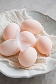 Duck eggs with a feather