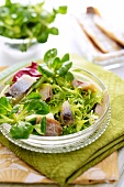 Green salad with herrings