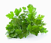 A bunch of parsley (no background)