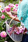 Frau sammelt Gartenblumen im Korb
