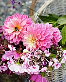 Basket of summer garden flowers
