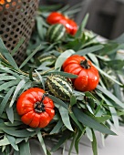 Winter wreath of eucalyptus leaves and fruits (close-up)