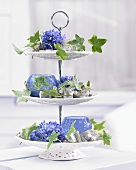 Dekorative Etagere mit blauen Hyazinthenblüten und rankenden Efeublättern
