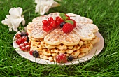 Waffles with raspberries, blueberries and redcurrants, in the grass