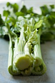 Fresh celery (close-up)