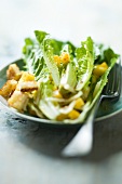 Romaine lettuce with mango and croutons