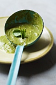 Cream of watercress soup in a soup ladle