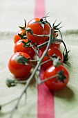 Fresh cherry tomatoes on the vine