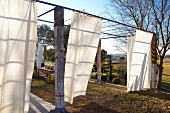 Pergola with wooden supports and white curtains in Mediterranean landscape