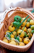 A Basket of Green and Yellow Tomatoes
