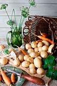 Fresh Potatoes and Carrots Spilling From a Basket; Peeler