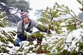 Mann schneidet einen Christbaum im Wald