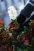 Weihnachtsgesteck aus Tannenzweigen, Scheinbeeren, Lorbeer, Äpfeln, Hyazinthe und Pinienzapfen gestalten
