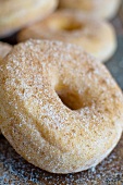 Doughnuts mit Zimtzucker (Close Up)