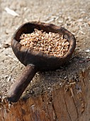 Spelt grains in a rustic wooden scoop